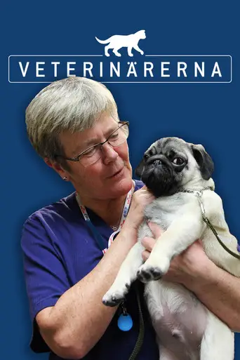 Bild från filmen Veterinärerna