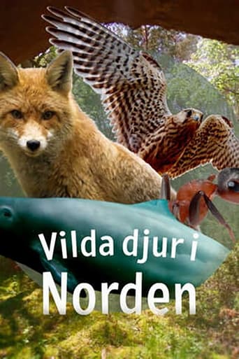 Bild från filmen Vilda djur i Norden