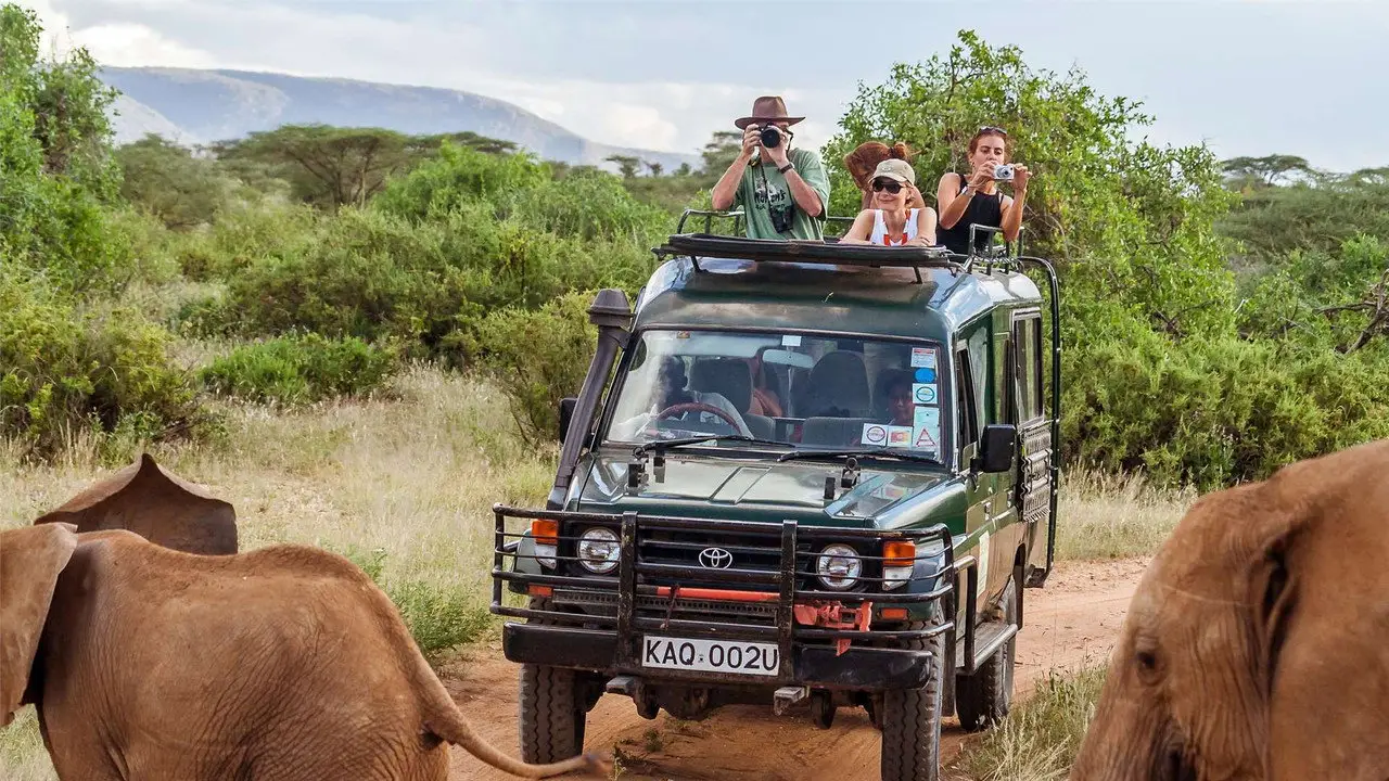 National Geographic Wild - Killer Safari