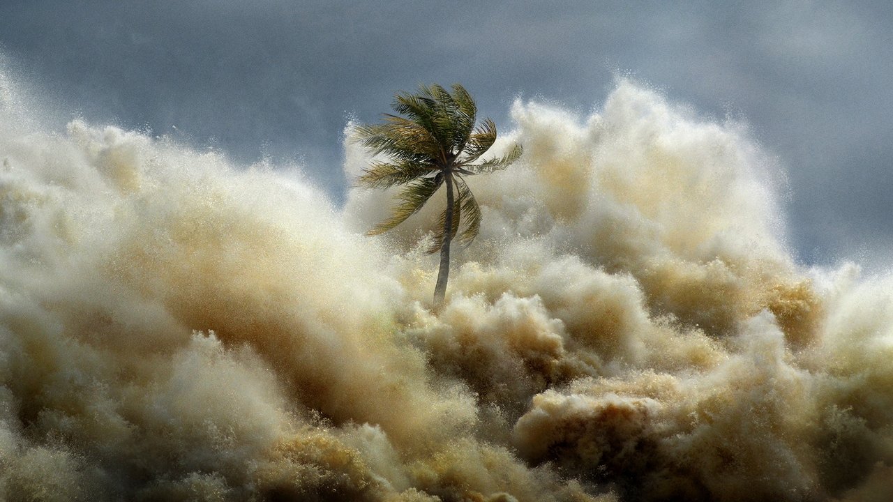 National Geographic - Tsunami: Race against time