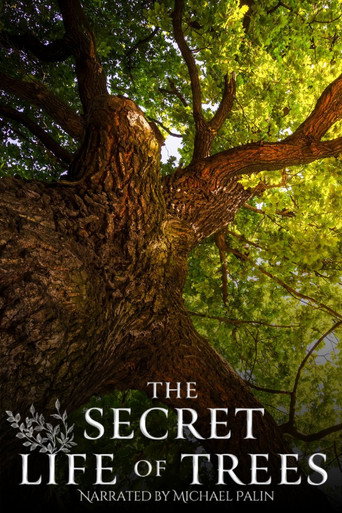 Tv-serien: The Secret Life of Trees
