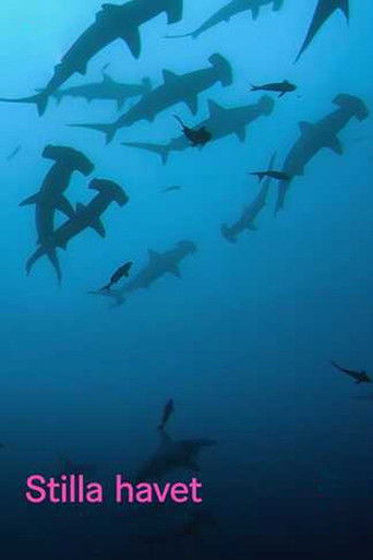 Tv-serien: The Pacific