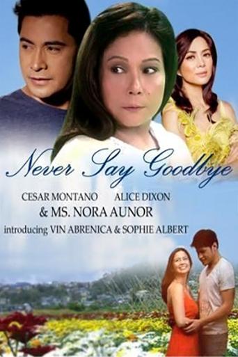 Tv-serien: Never Say Goodbye