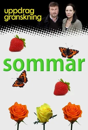 Bild från filmen Uppdrag granskning sommar