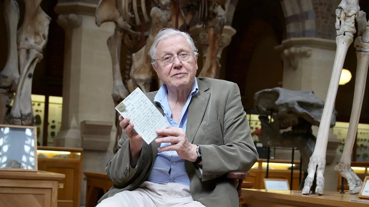 David Attenborough's Natural curiosities