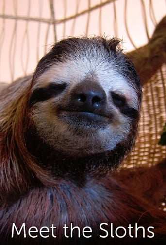 Tv-serien: Meet the Sloths