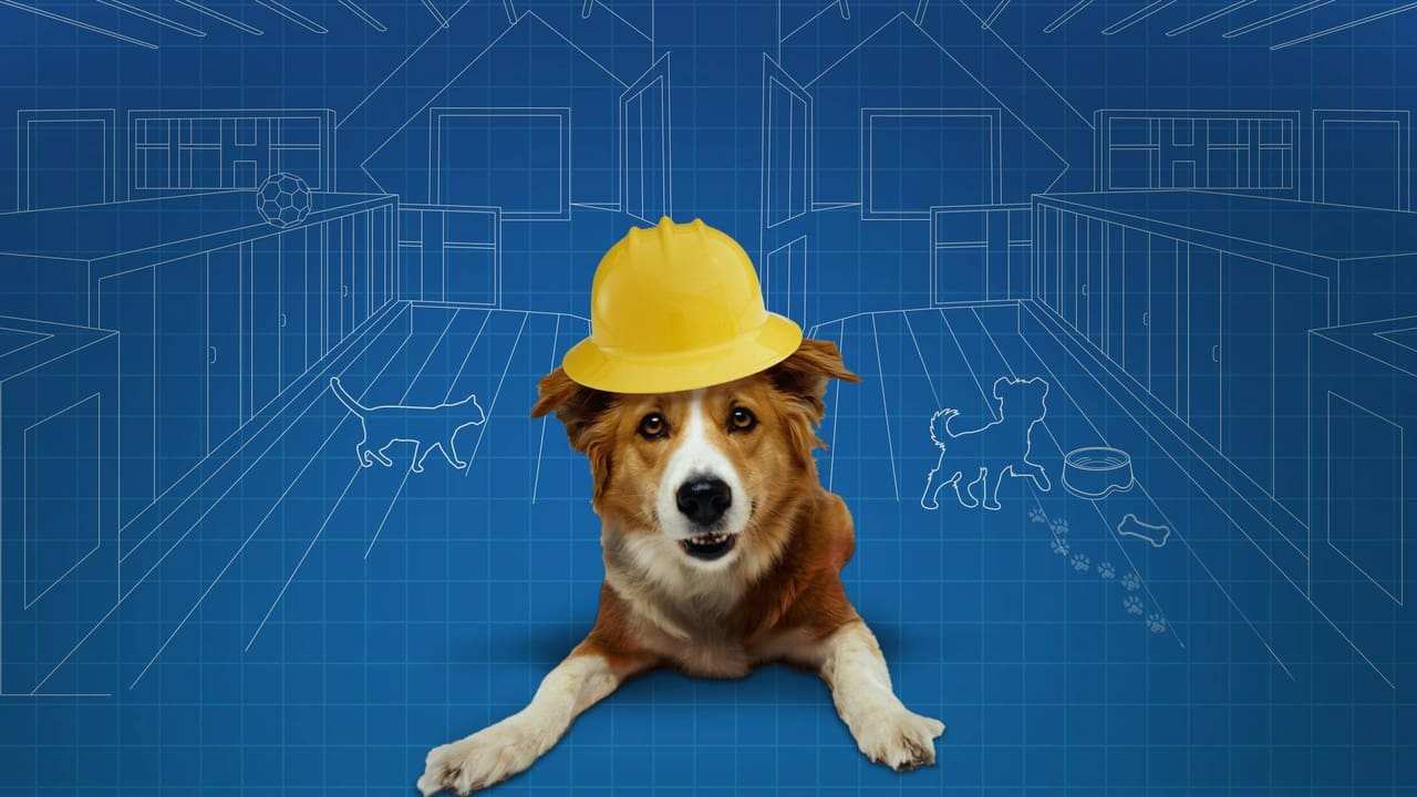 Animal Planet - Pet Nation Renovation