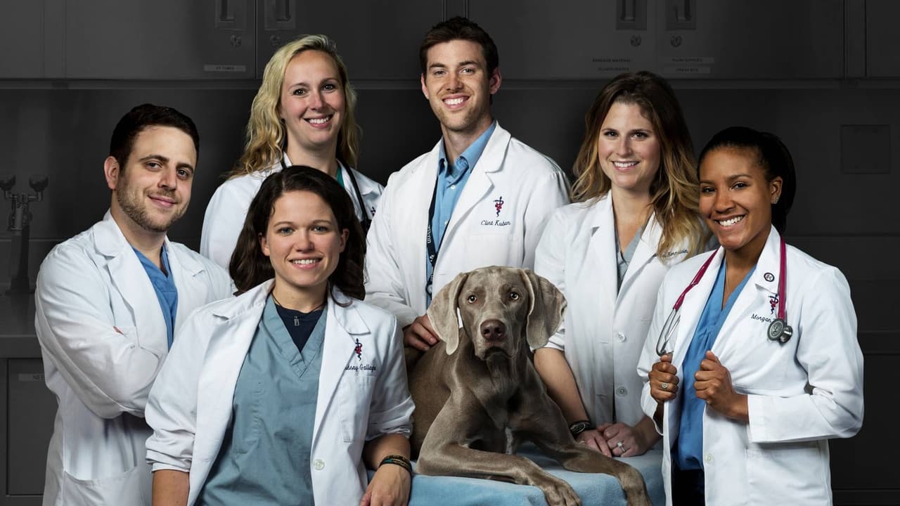 Animal Planet - Life At Vet University