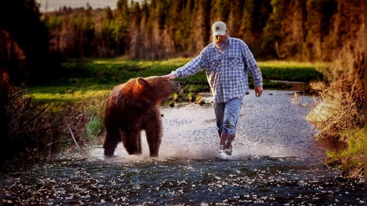 Project grizzly