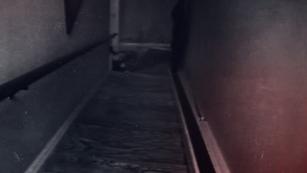 Investigation Discovery - An American Murder Mystery: The Staircase