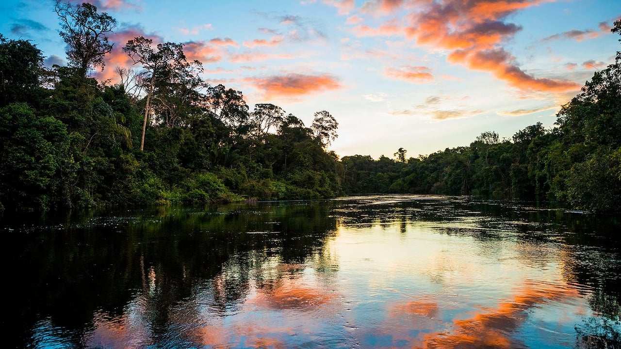 BBC Earth - Earth's Great Rivers