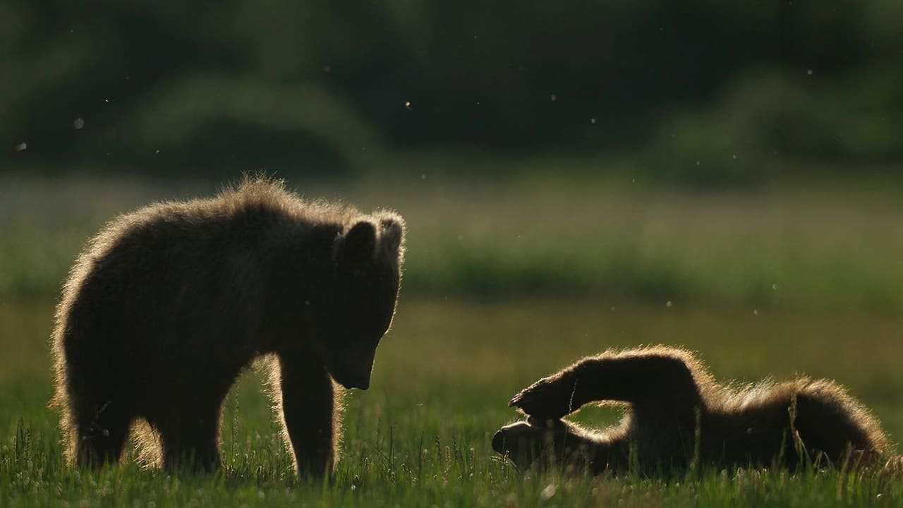 Alaska: Ett år i vildmarken