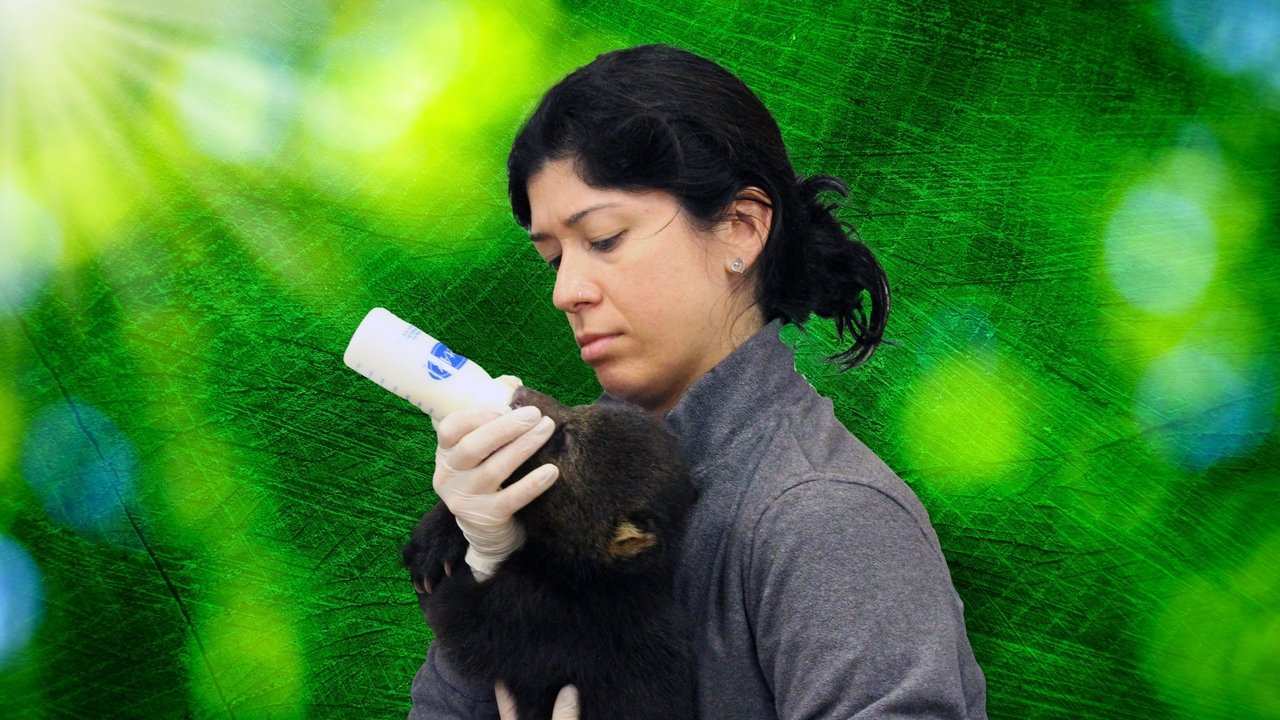 Secrets of the zoo: Tampa